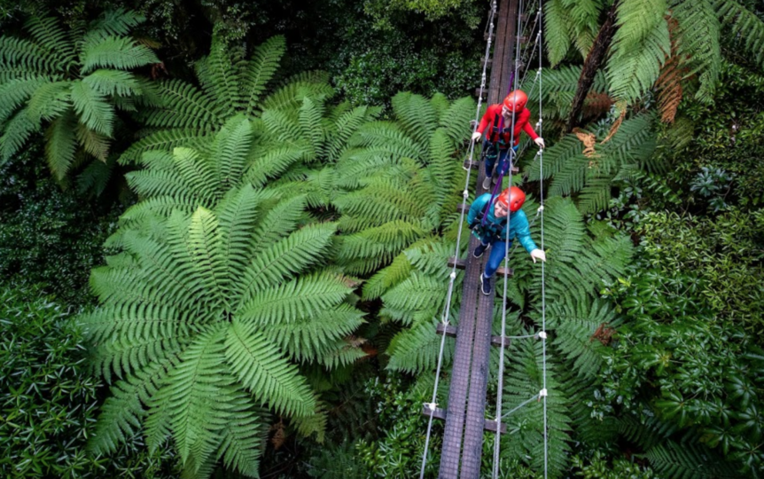 Rotorua Canopy Tours_Bridge Crossing