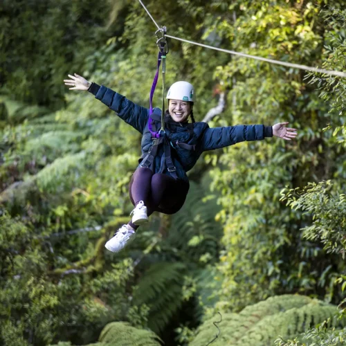 Rotorua Canopy Tours_Zipling