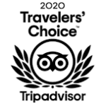 TA Travellers Choice 2020_download